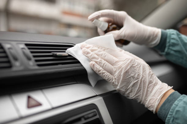 Best Air Duct Mold Removal  in Mapleton, ND